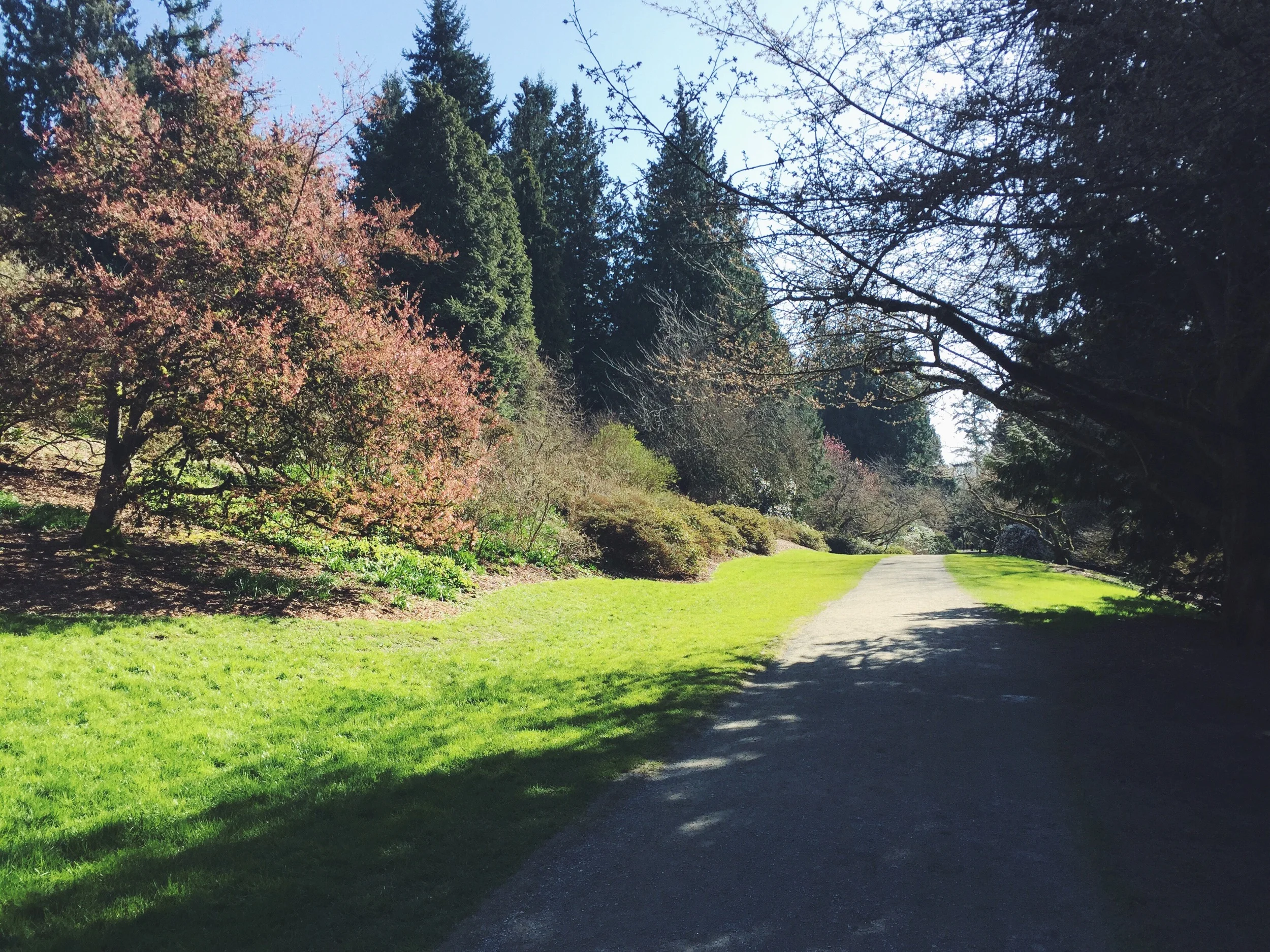 Spring Training // Washington Park Arboretum 
