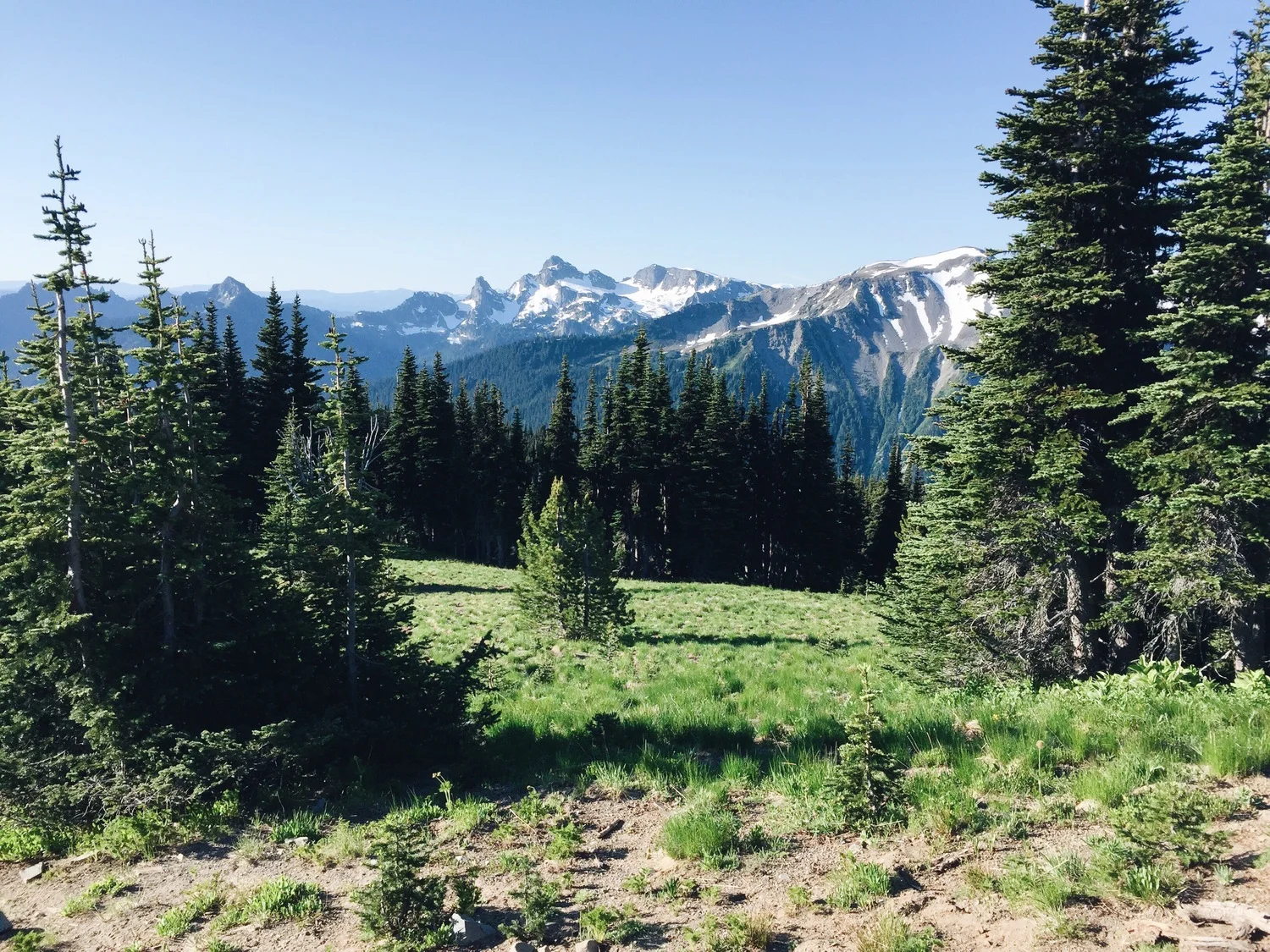 hikes-image.jpeg