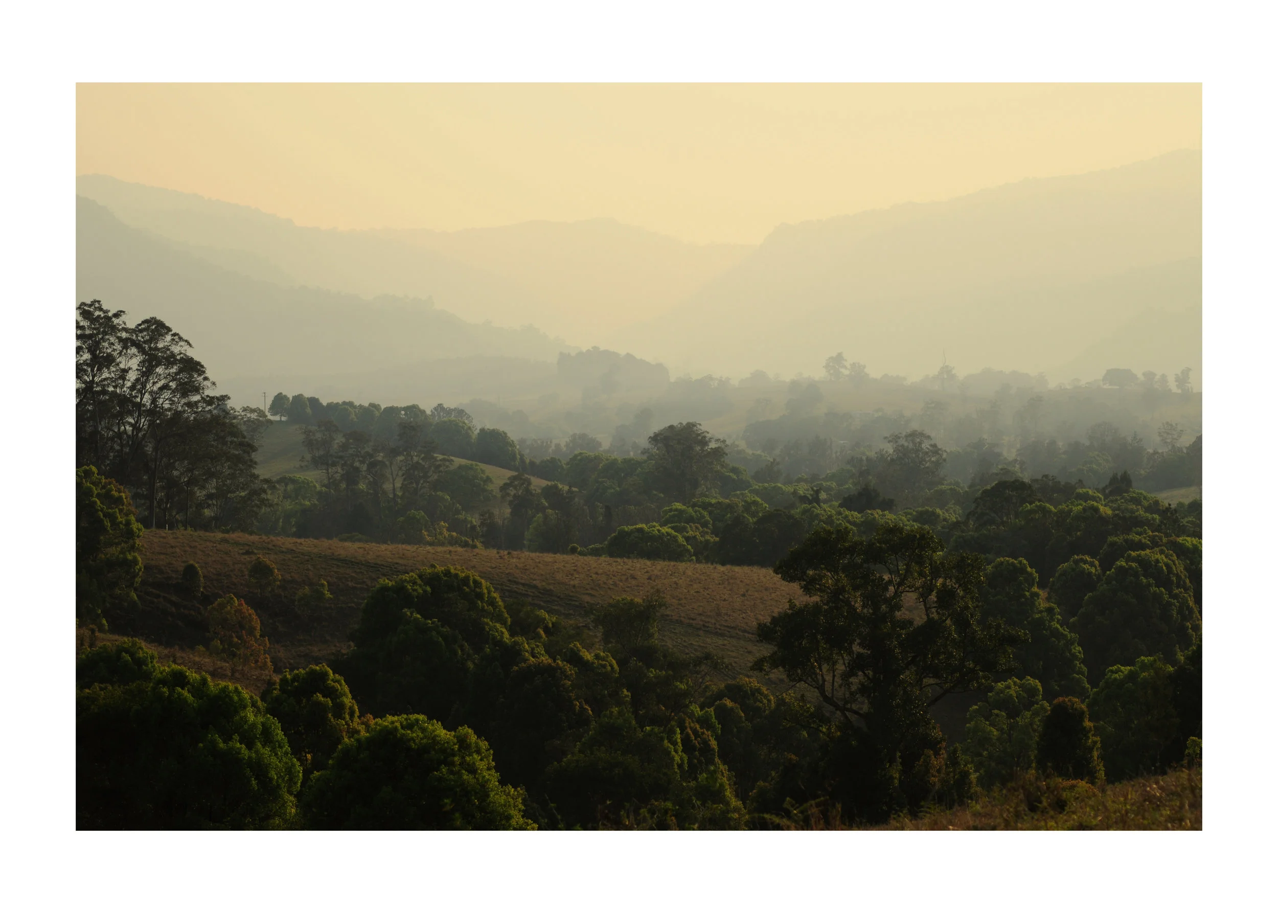 nimbin.jpg