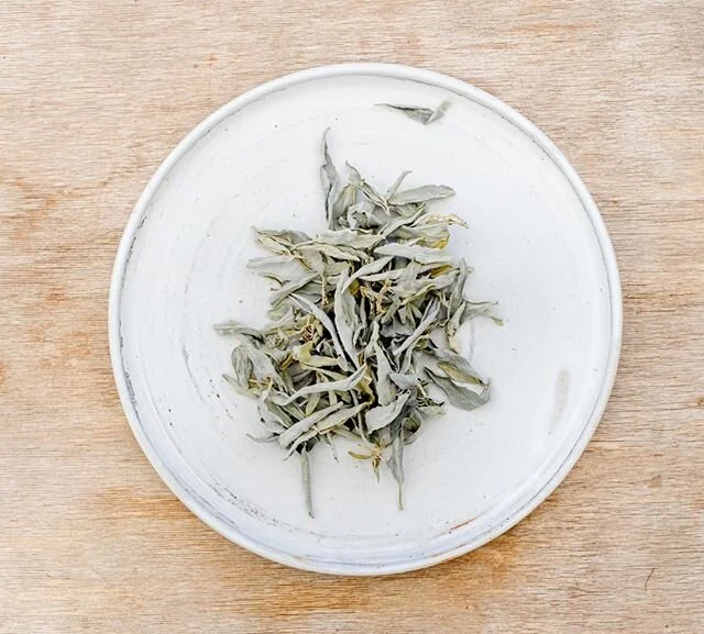 We love experimenting with native ingredients. 
Dehydrated Salt Bush.
Foraged by our Chef Zoe 🌷🌱🌿