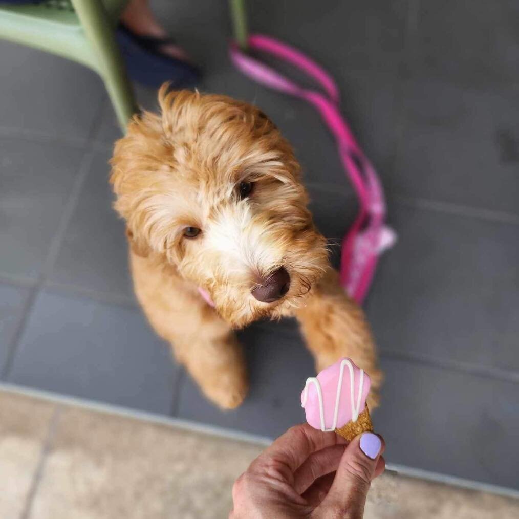 Weekends are for mates and coffee dates🥳🌈