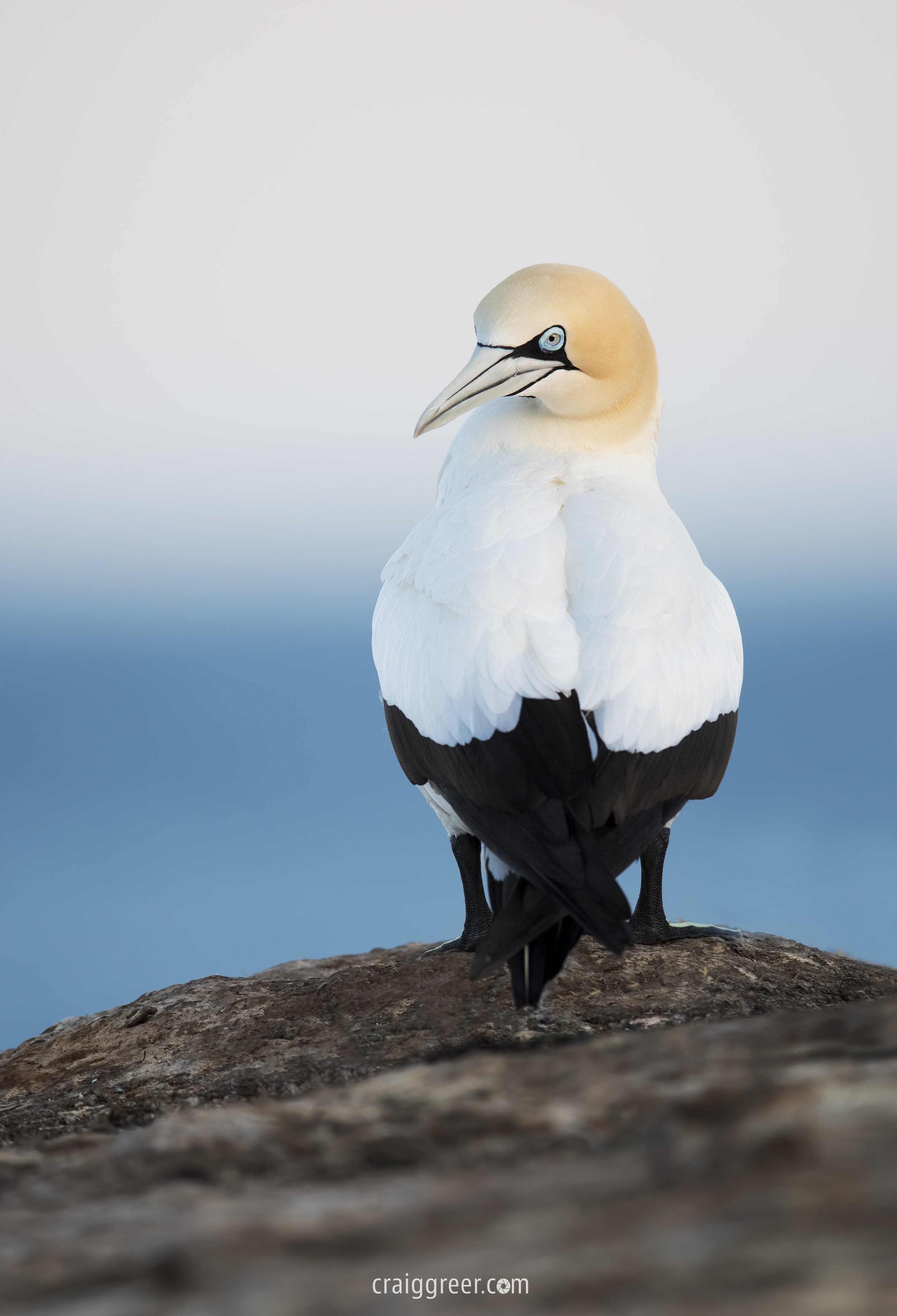 Cape-Gannet-Point-Danger-30-09-18.jpg