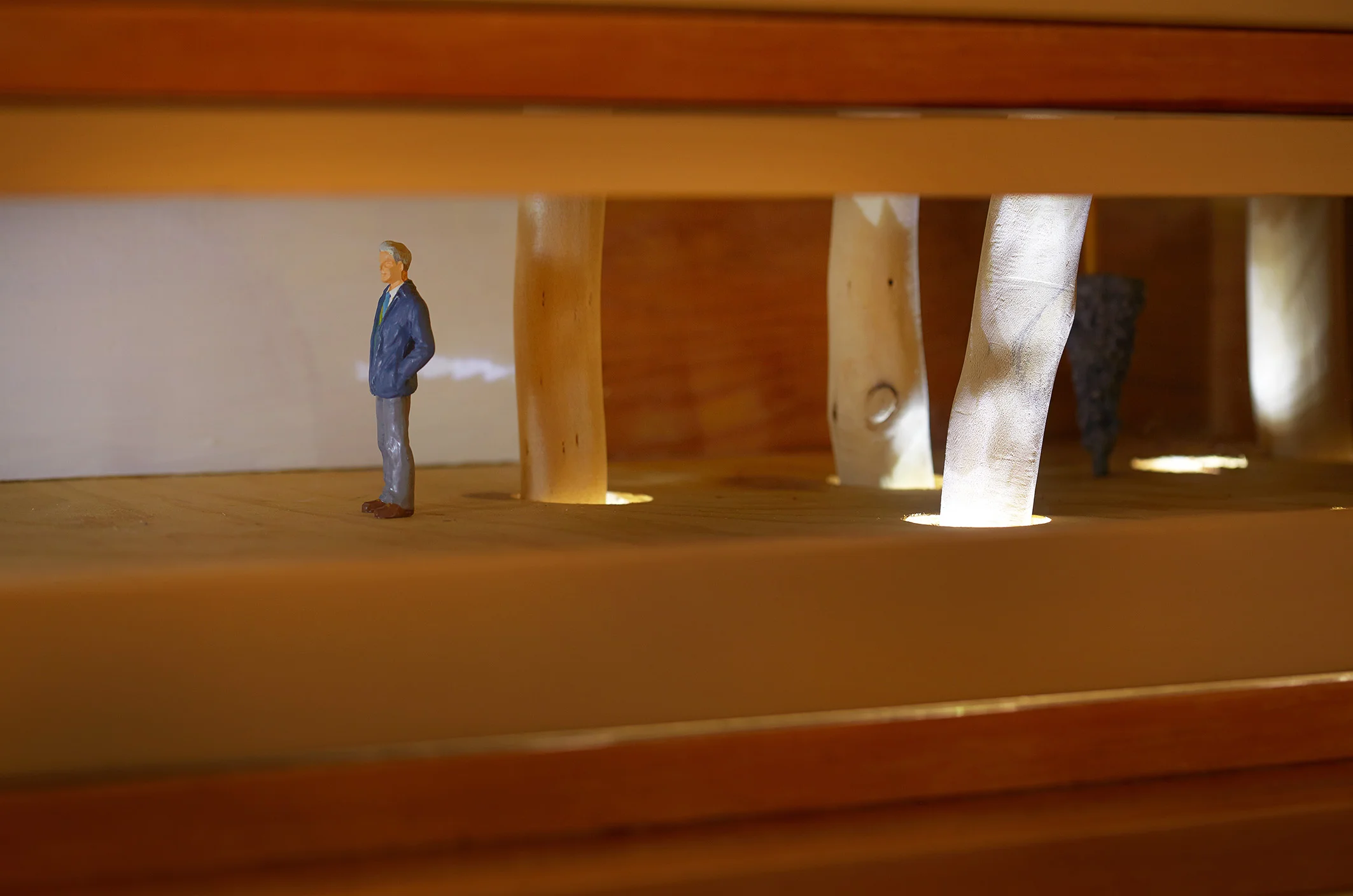 2014 Bankwest Art Prize for Sculpture (Winner) Expedition Recollection, 2014 Mixed Media 193 x 92 x 45cm hoto courtesy of Acorn Photography