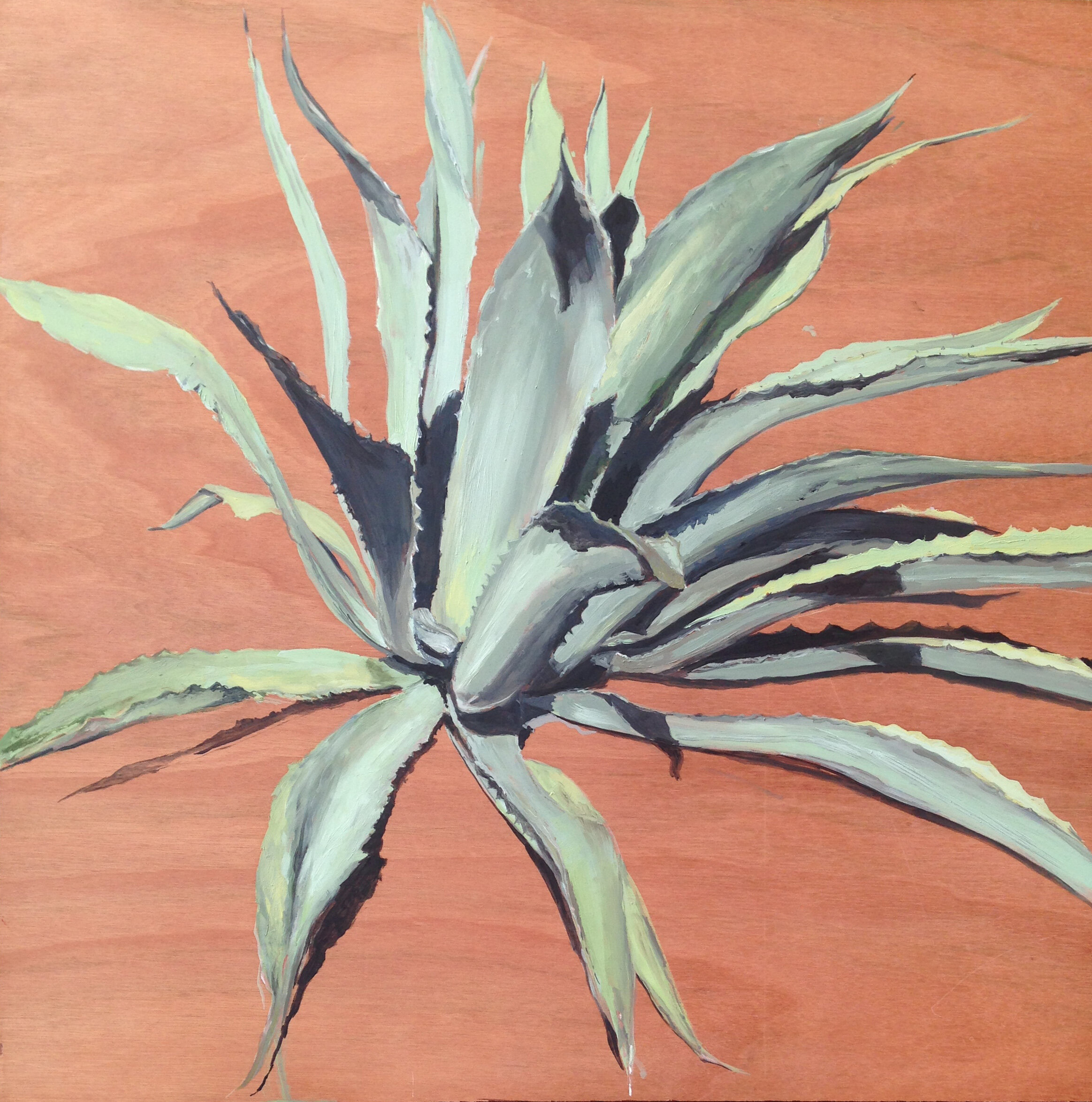 Feature Plant, 2016, Oil on Plywood, 60 x 60 cm