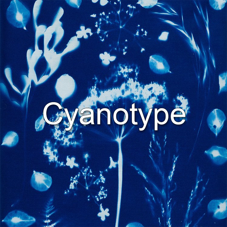 Cyanotype.jpg
