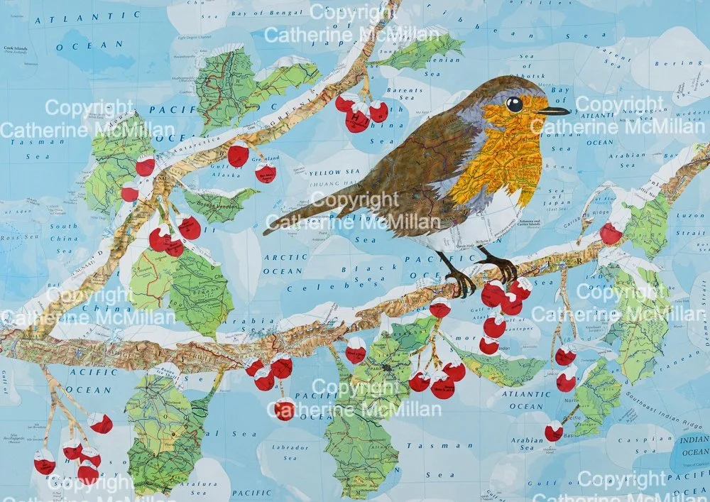 Winter Robin