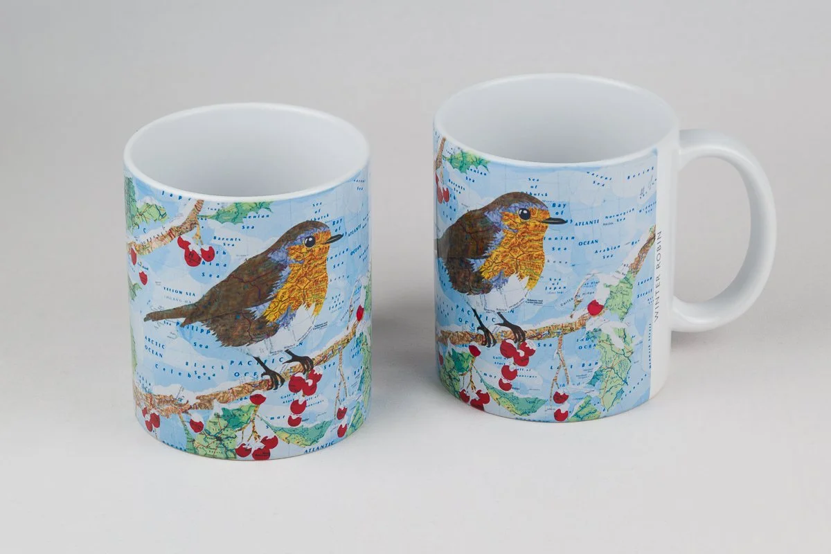 Winter Robin