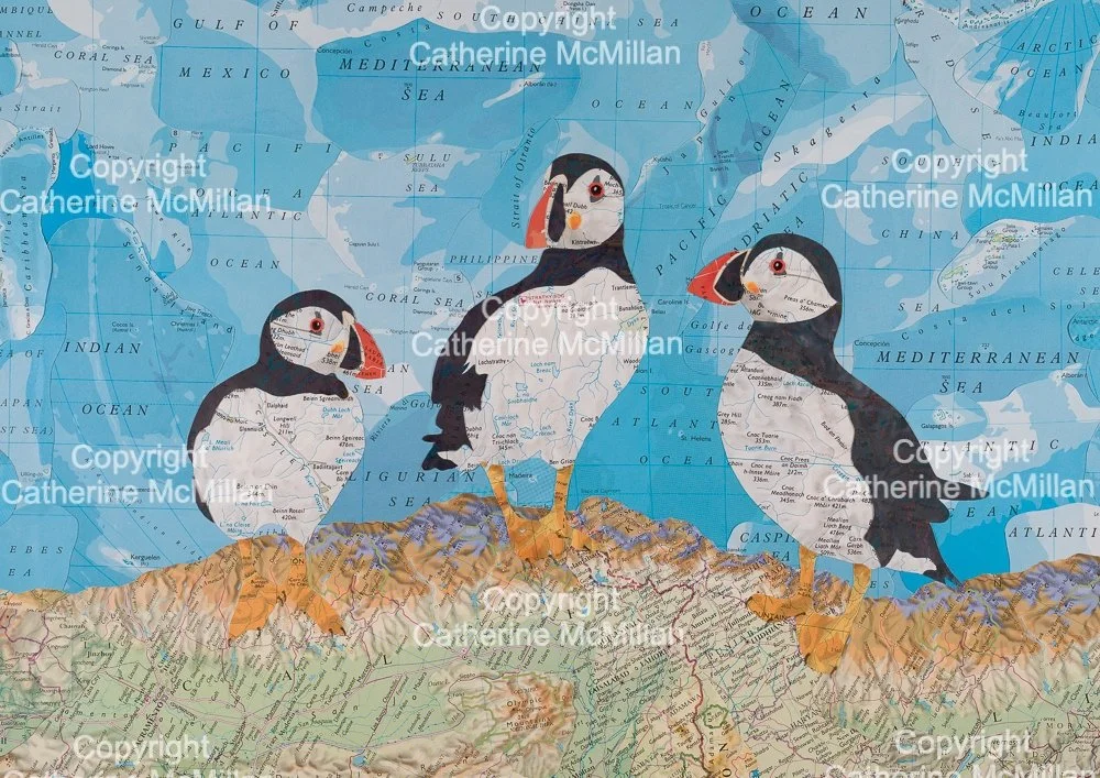 Puffins