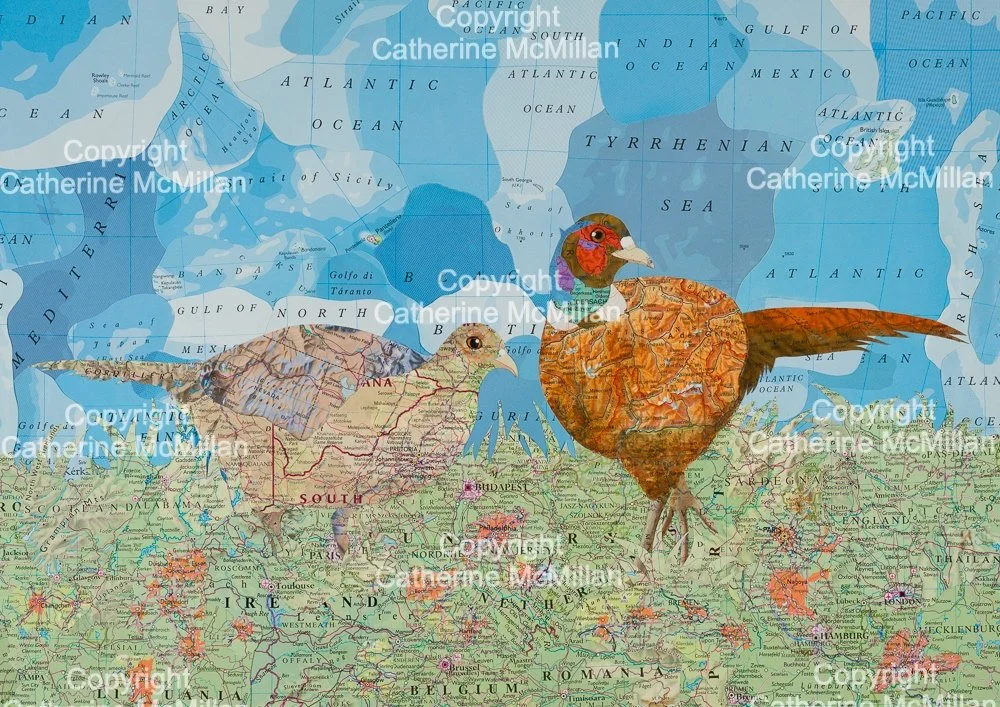 Strathearn Pheasants