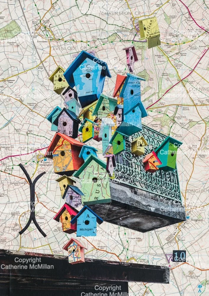 Colourful Bird Boxes