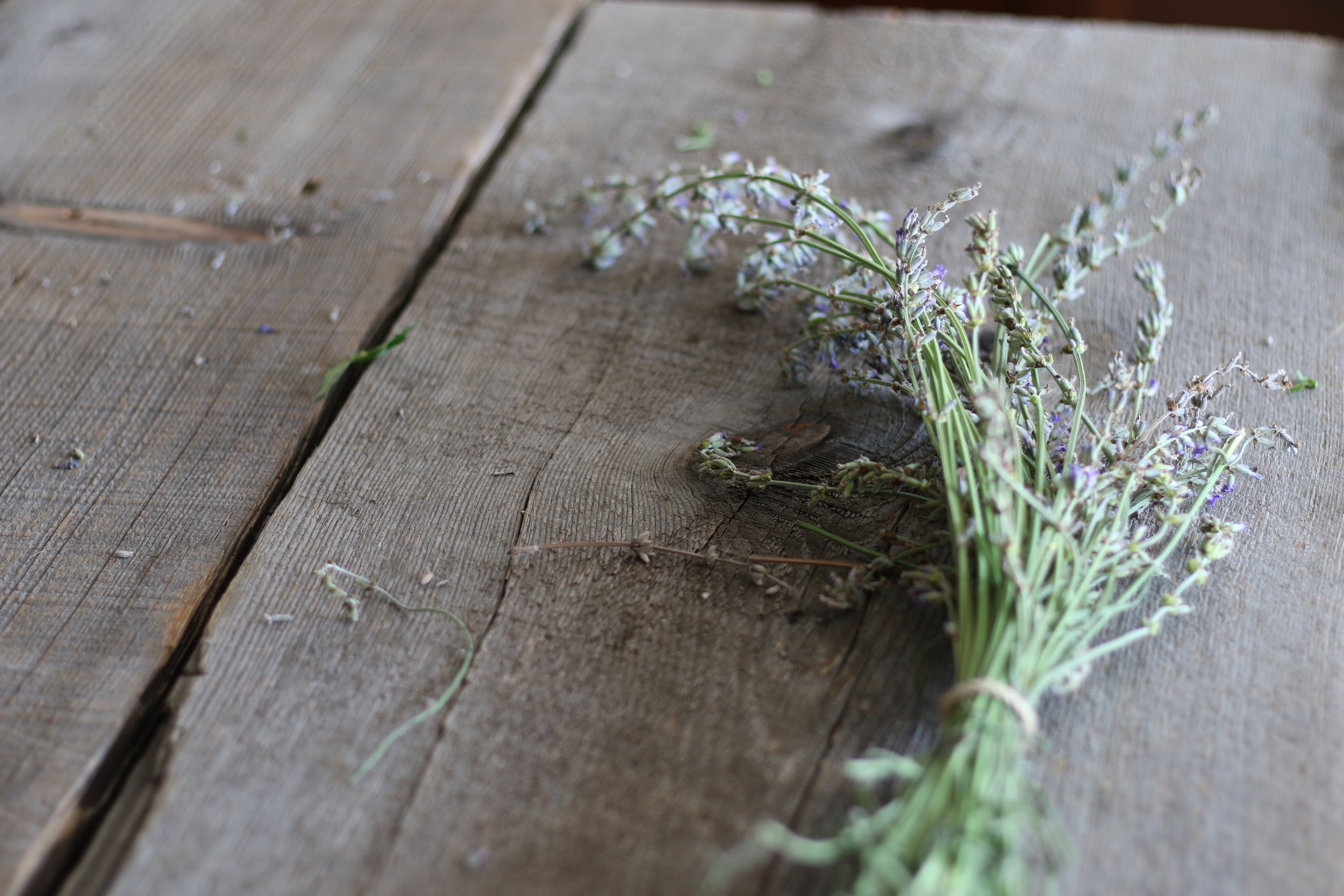 Alt text: a bundle of lavender is gathered by twine and rests on a wooden tabletop