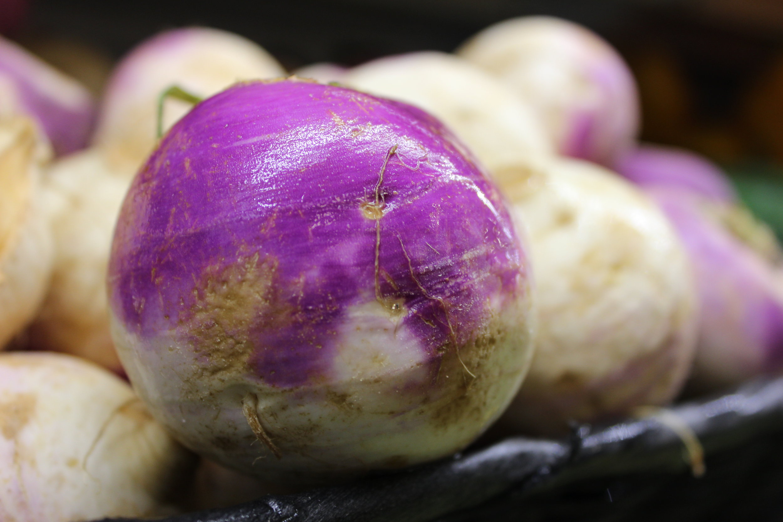 Alt text: a purple and white root vegetable perches on the edge of a long shelf full of them.