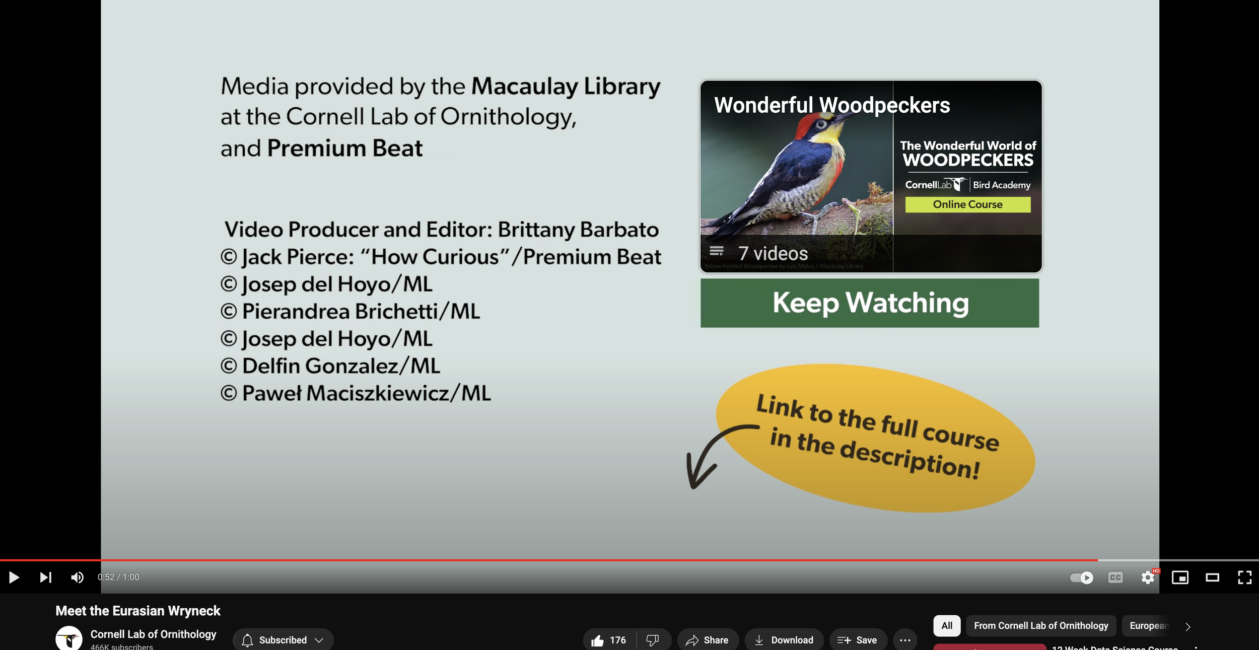  A screenshot of a light blue with the Cornell Lab of Ornithology bird logo, an orange bubble with black text that reads “Link to the full course in the description!” and a green box with white text that reads “Keep Watching” with a thumbnail image o