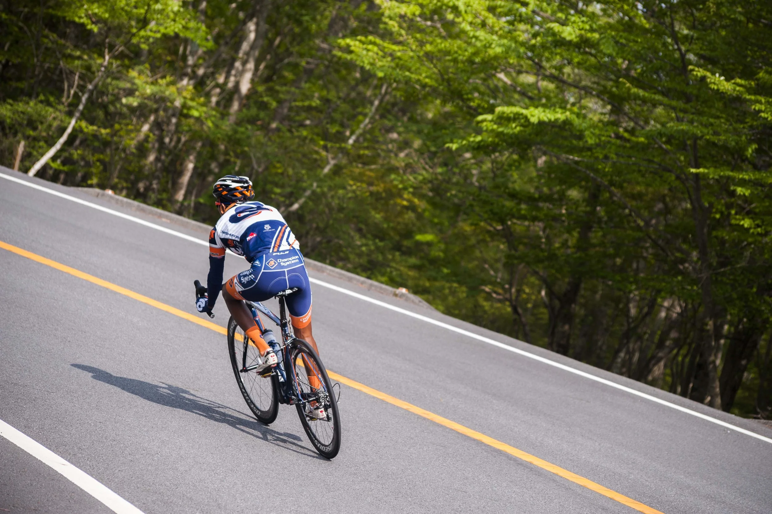Champion System