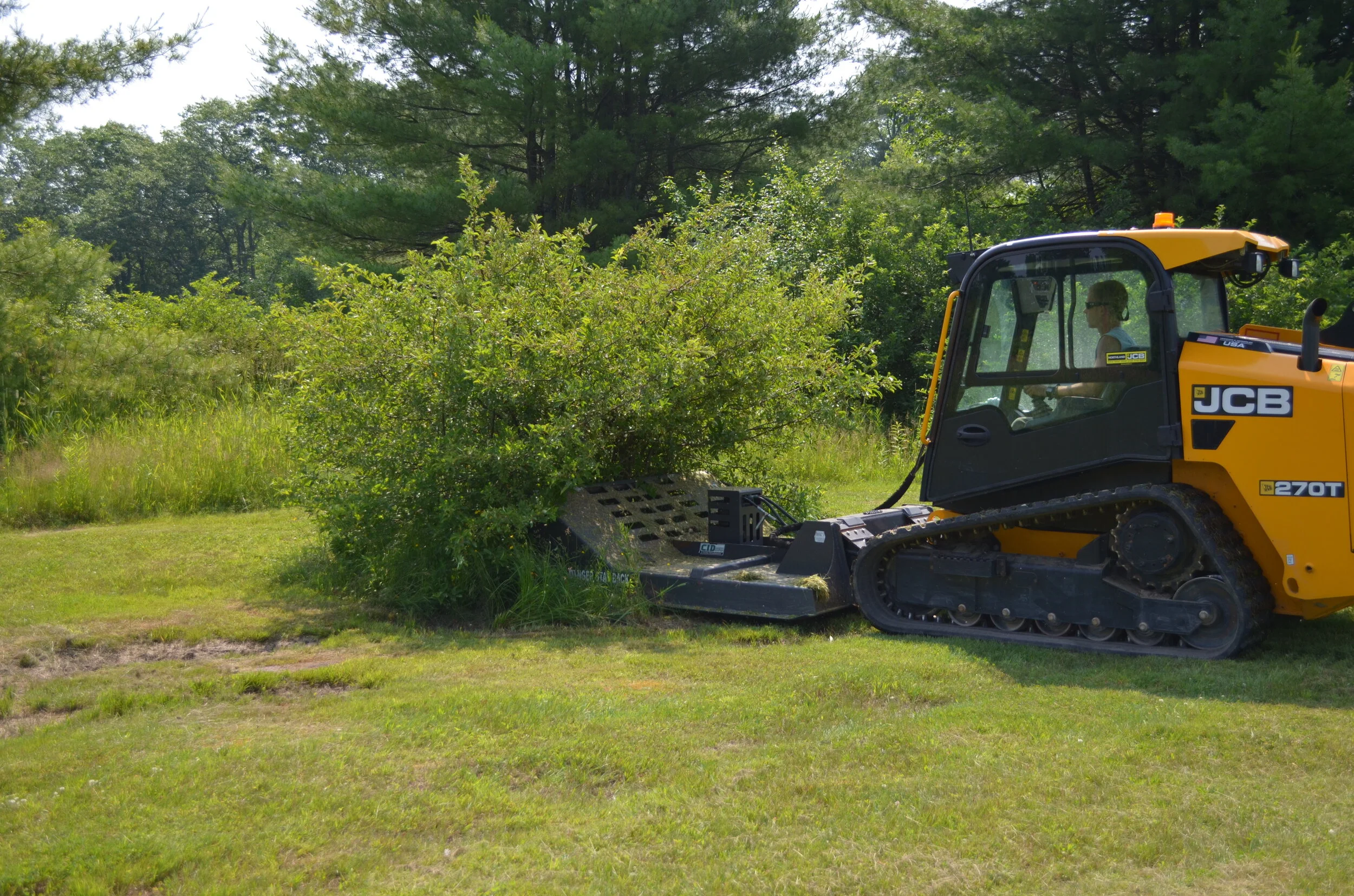 Brush Hogging Before 1.JPG