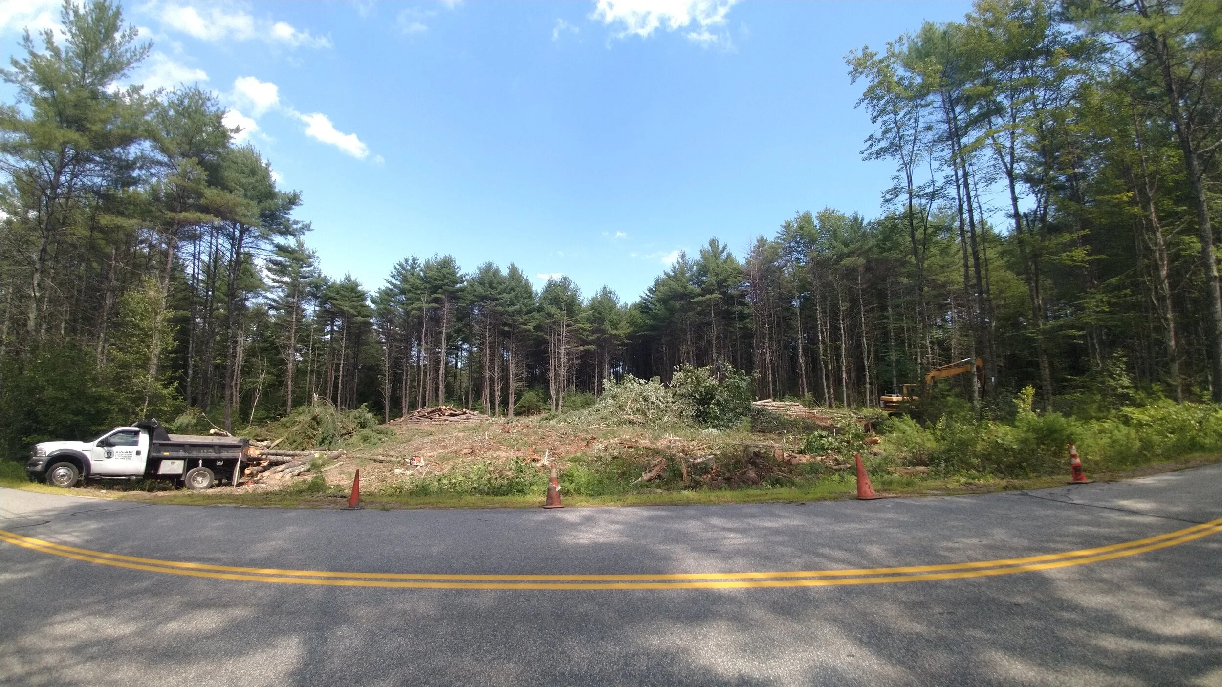 Land clearing(1).jpg