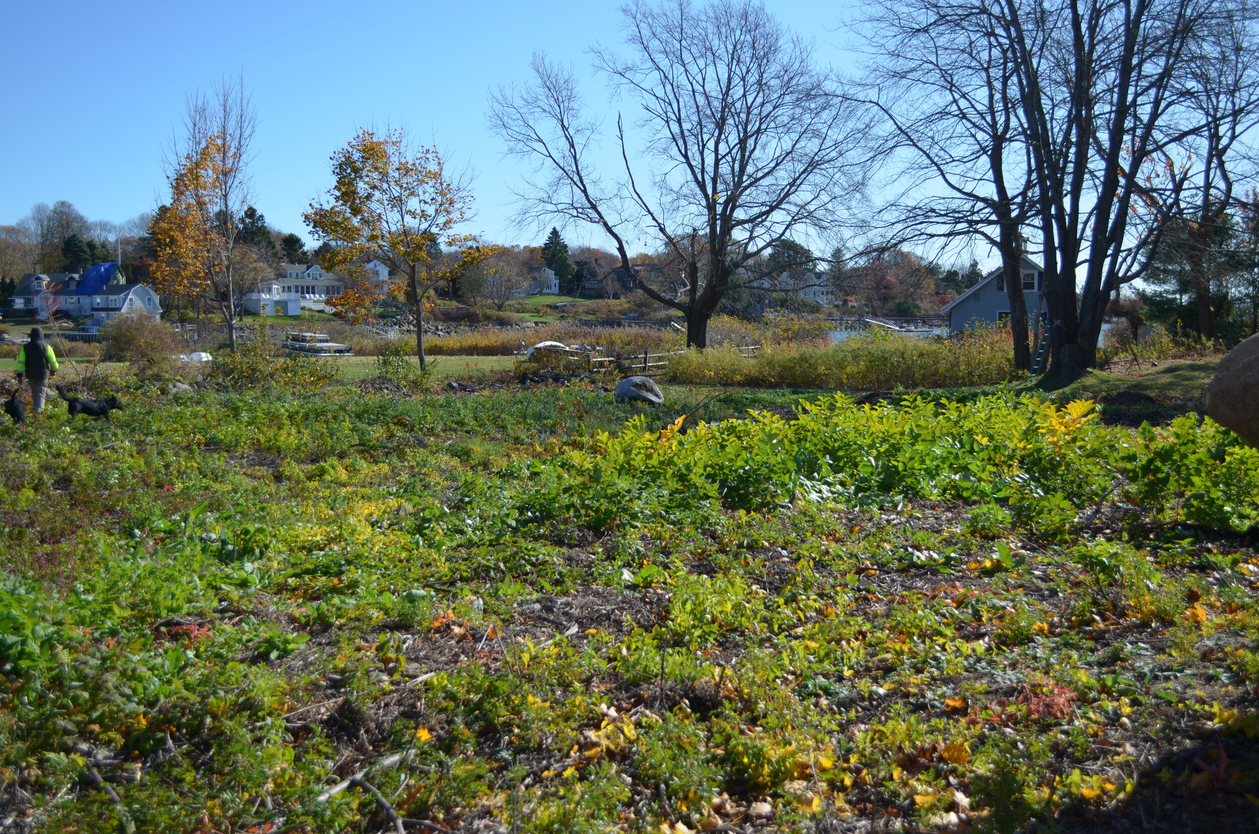 Before Erosion Control