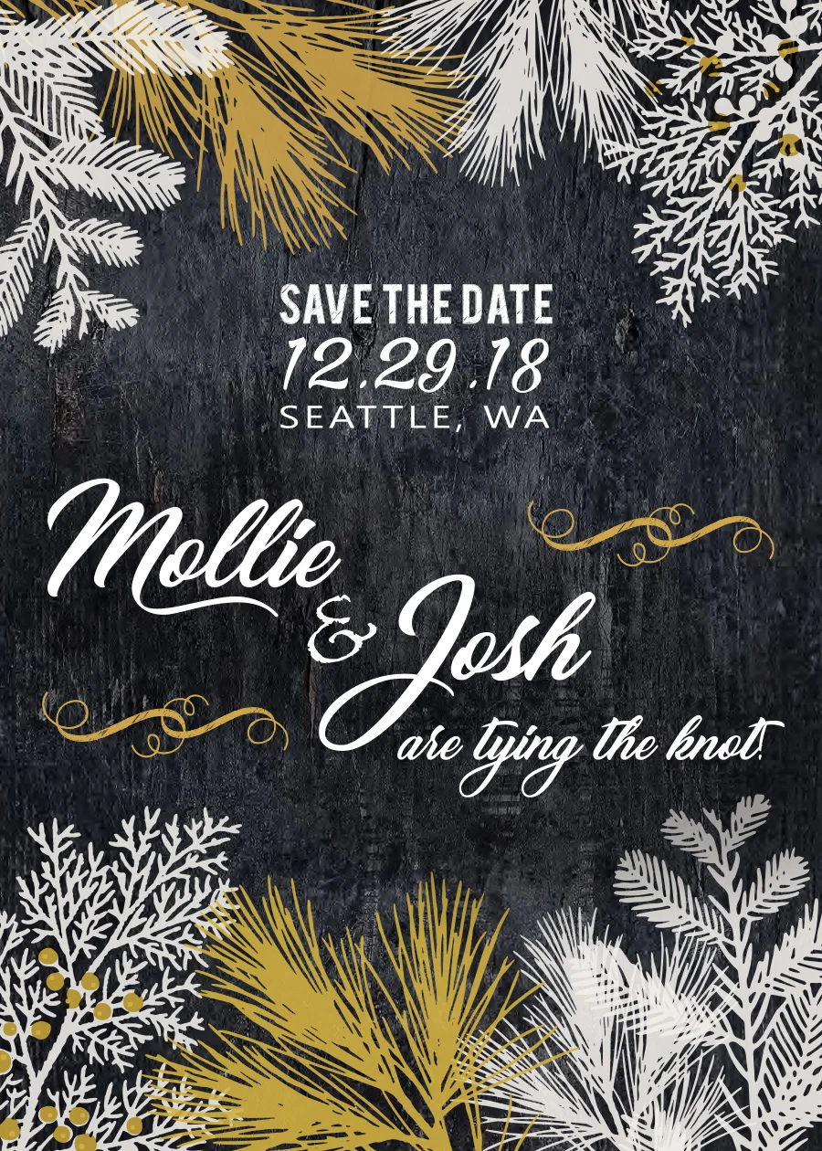Mollie&Josh-09(clean-no-text-front).jpg