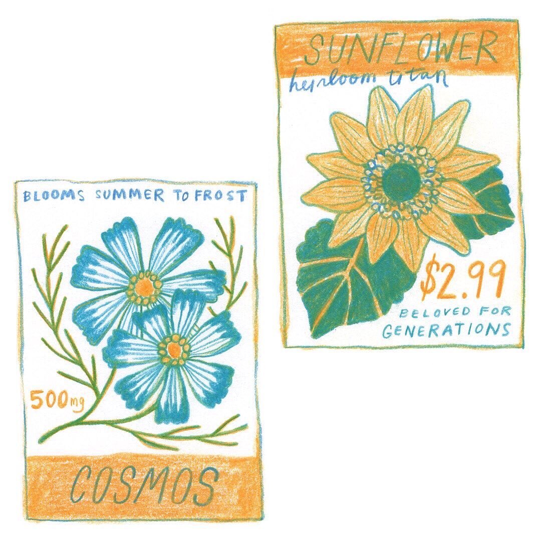 Over the past couple weeks, I&rsquo;ve been drawing the seed packets that we plant out in our garden. Each little sown seed feels like a tiny declaration of hope. #illustration #colorpencil #sketchbook