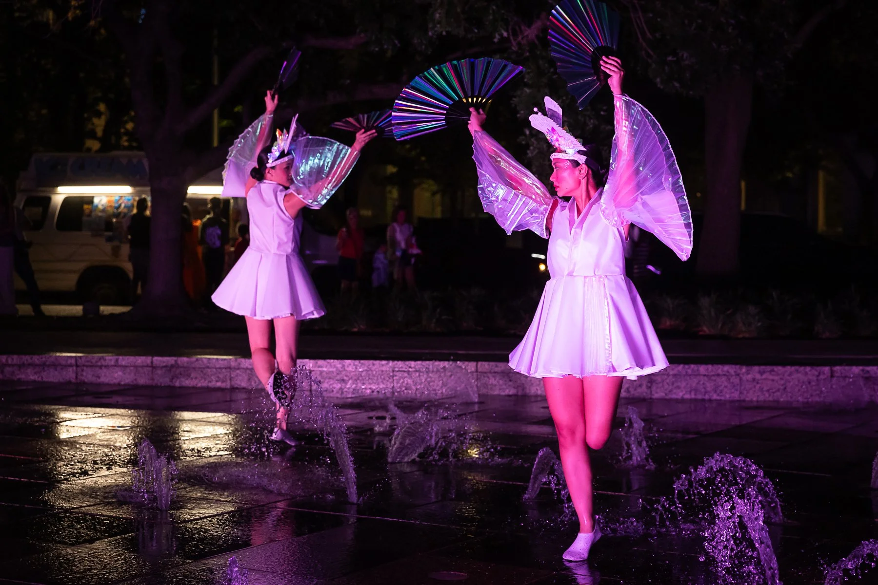 Afsaneh Aayani - The Painted Swan - 2025 - Photographer Lynn Lane - WEB-128.jpg