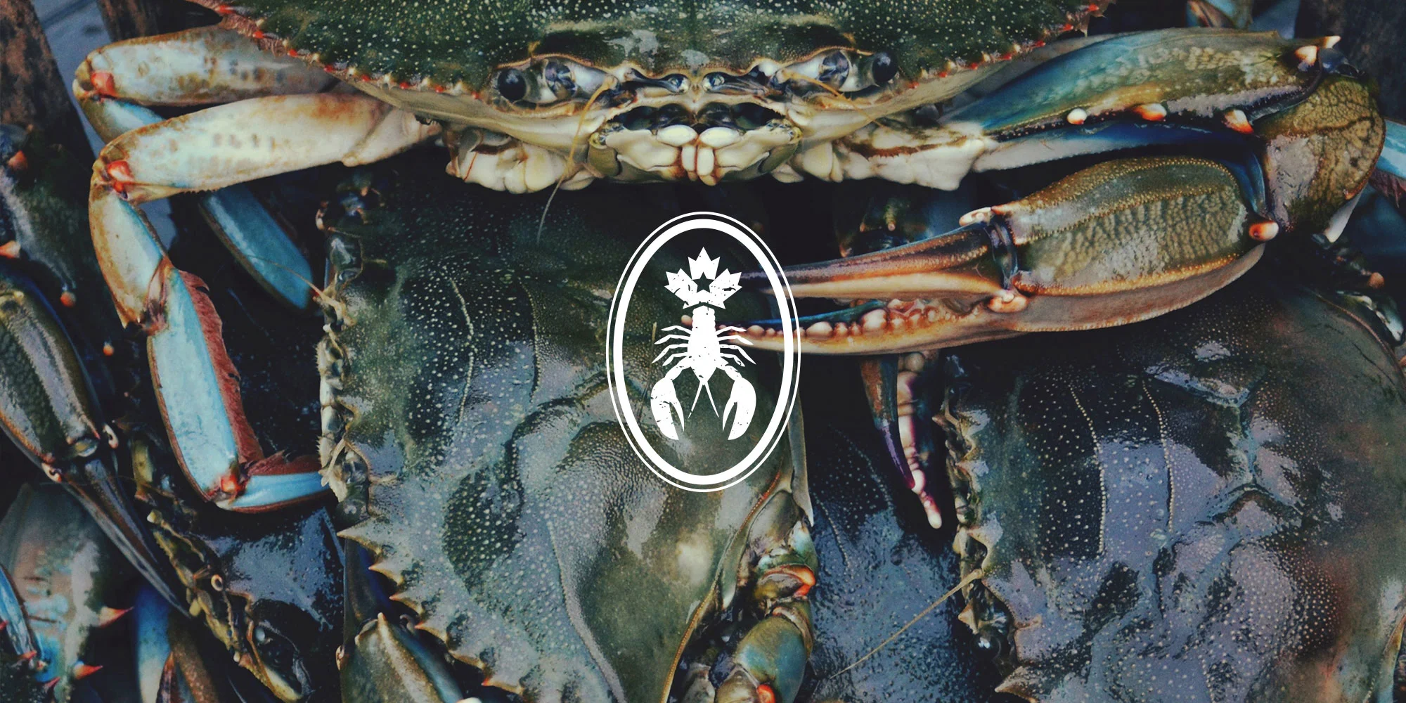 CanAm Lobster & Shellfish — Kyle Mooers