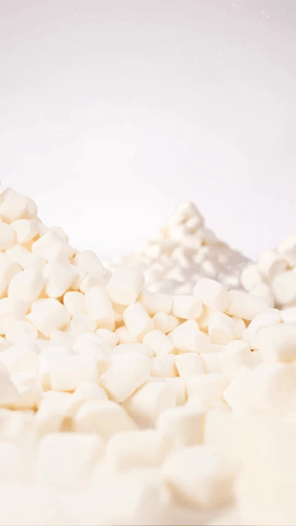 ELLIS Brooklyn - Marshmallow Bouncing