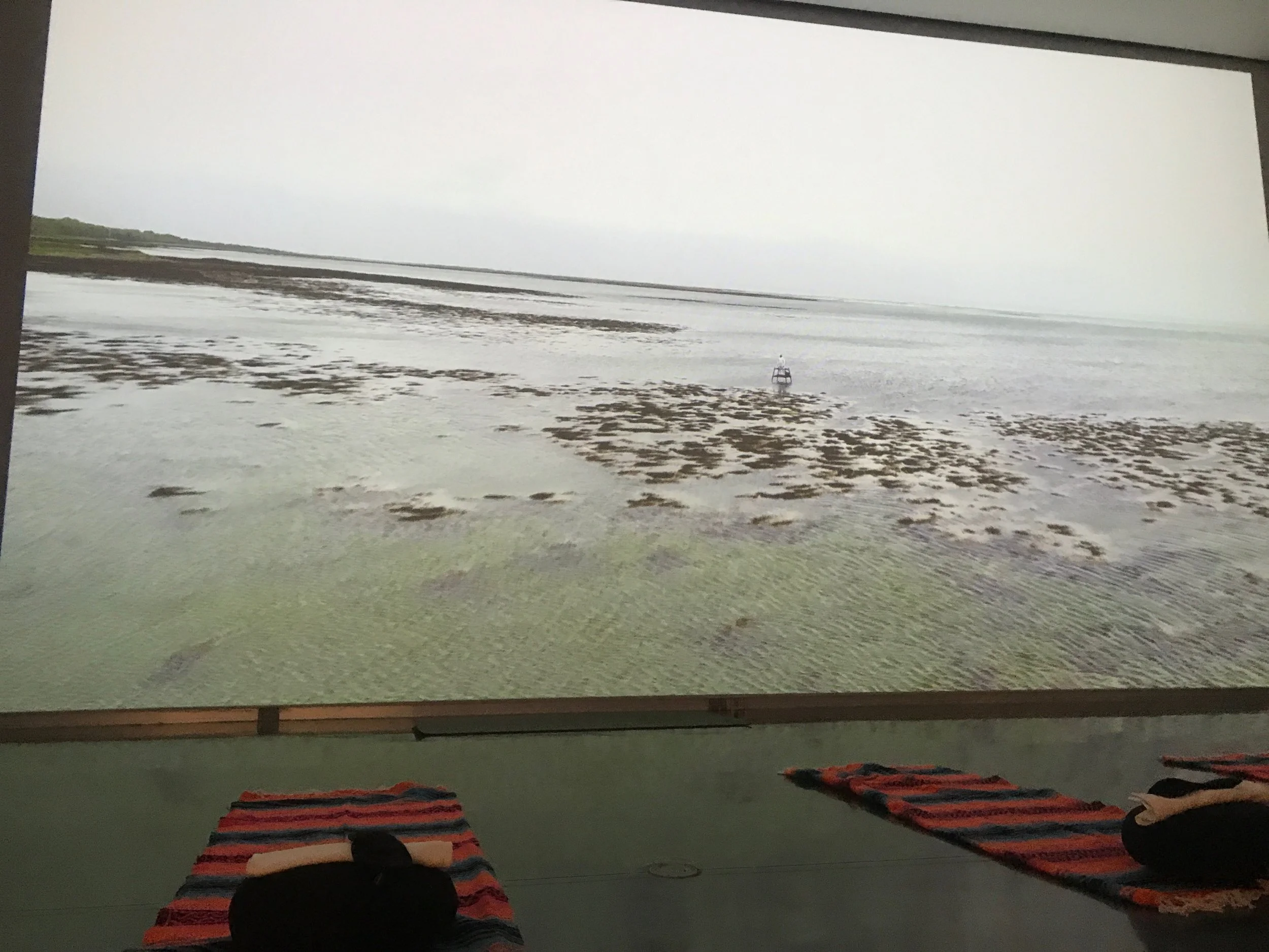 InRegister:  We tried yoga in the LSU Museum of Art galleries