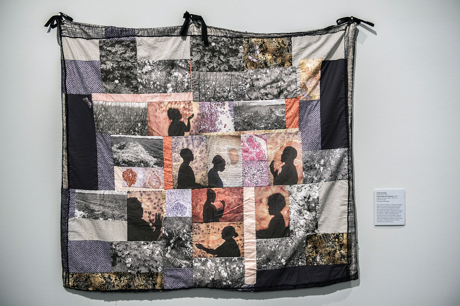 Letitia Huckaby, American, b. 1972, Cotton Pests and Diabetes, 2007, pigment prints on fabric sewn into patchwork quilt, Courtesy of the Artist
