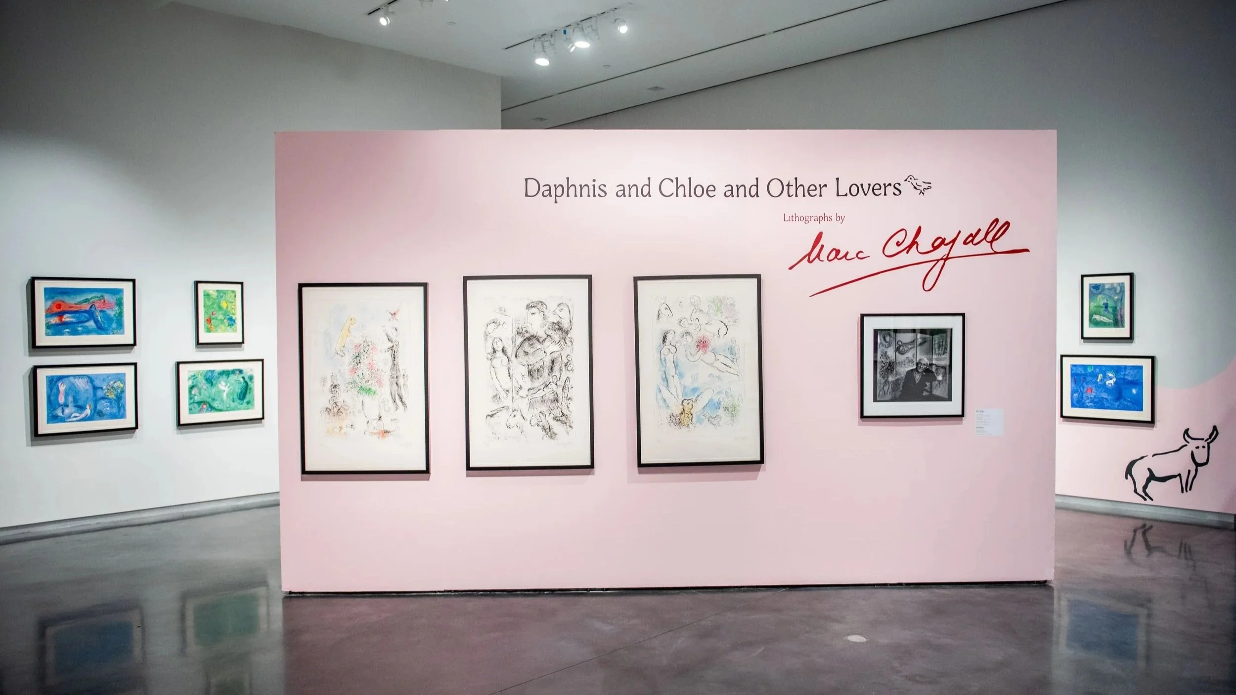 Gallery view of a pink exhibition wall reading “Daphnis and Chloe and Other Lovers: Lithographs by Marc Chagall,” with framed lithographs displayed and additional artworks on surrounding walls.
