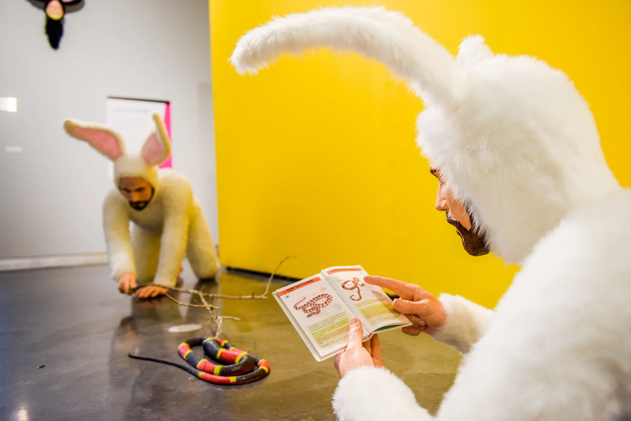 Two adults in white bunny costumes interact with an installation in a gallery; one crouches on the floor while the other reads an open booklet beside a colorful coiled snake-like object against a bright yellow wall.