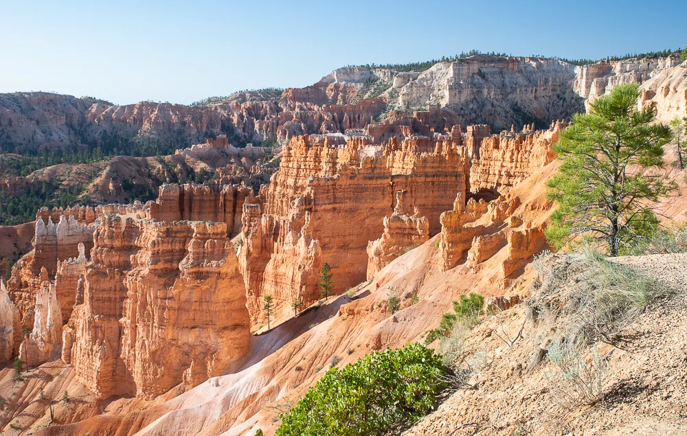 High Desert-17.jpg