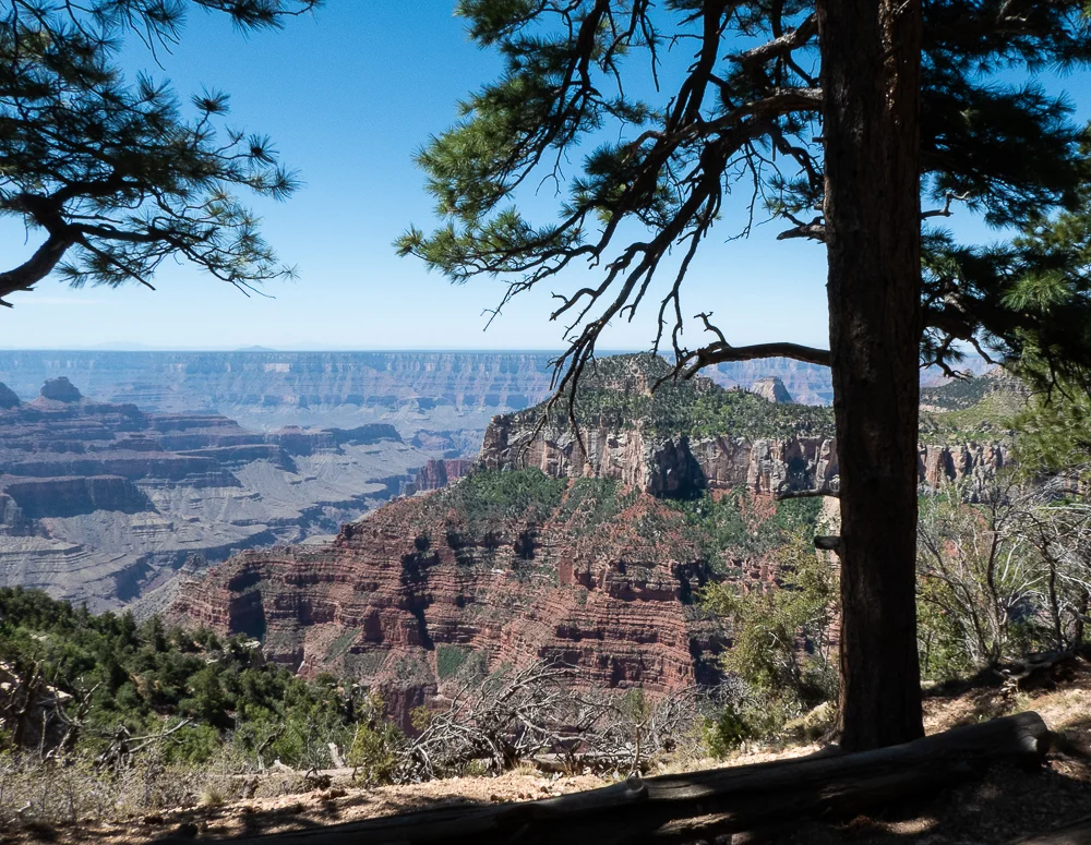 High Desert-27.jpg