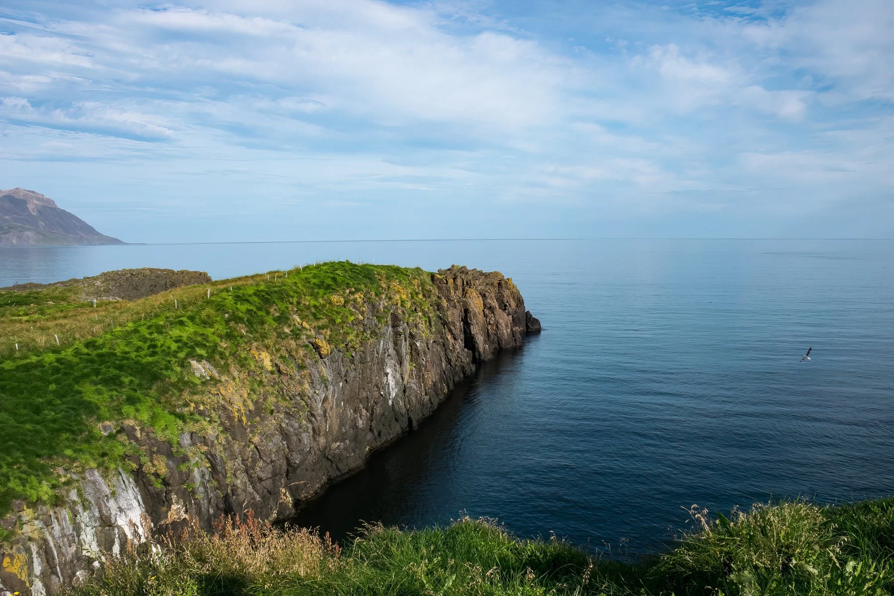 Iceland site (1 of 1).jpg