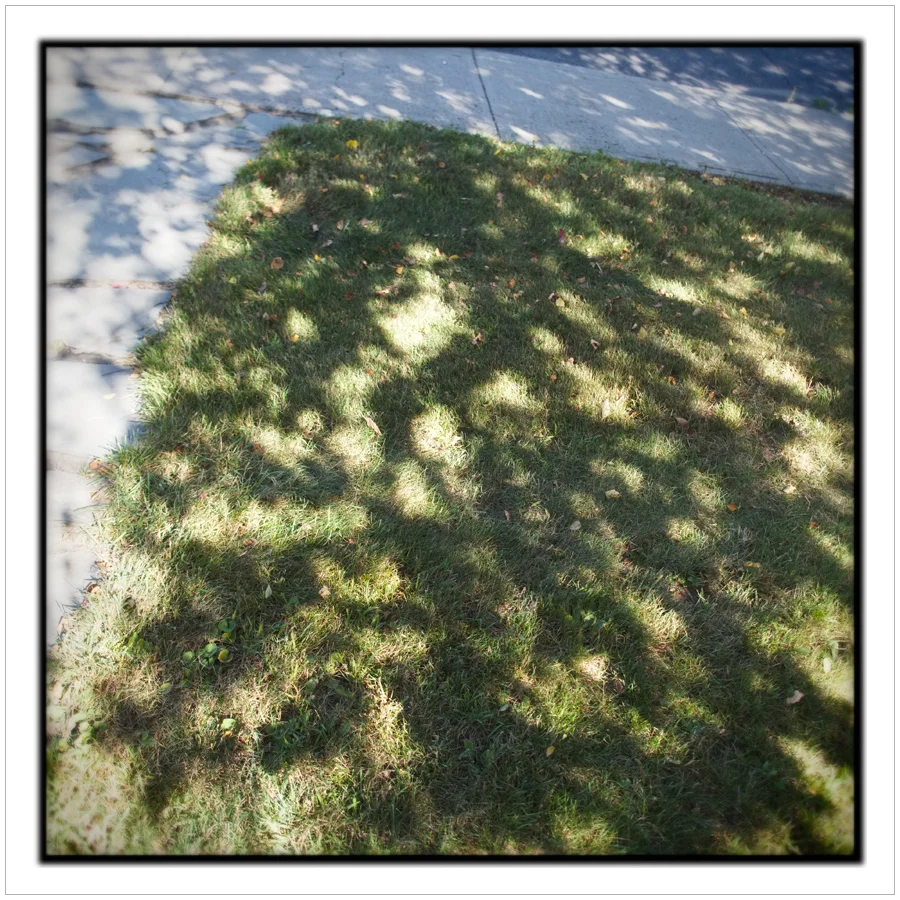 lawn and sidewalk