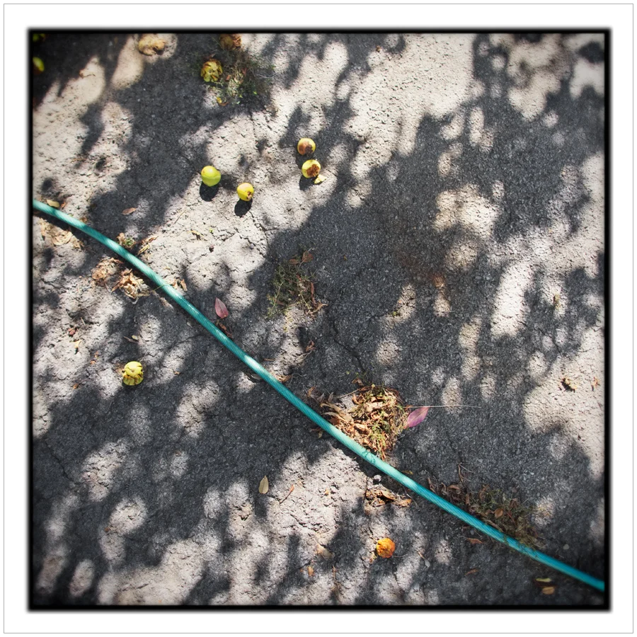 apples and hose ~ Au Sable Forks, NY - in the Adirondack PARK
