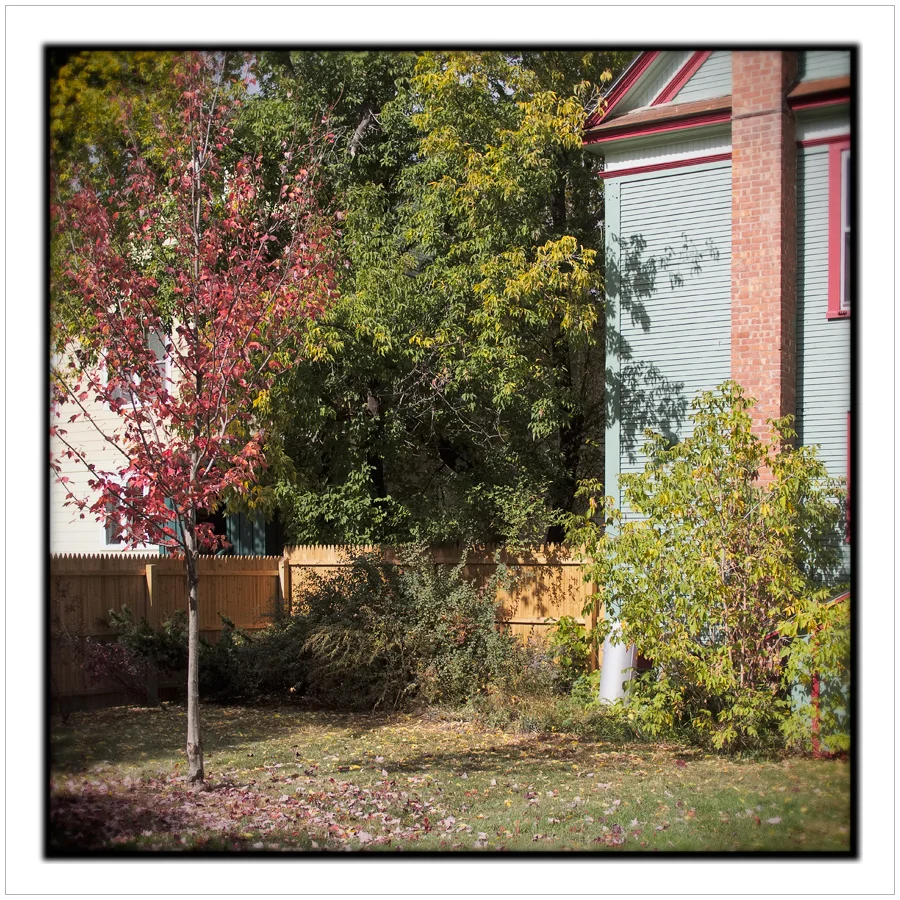 autumn backyard ~ Au Sable Forks, NY - in the Adirondack PARk