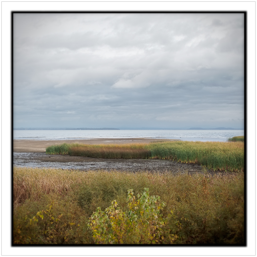 marsh / Lake Champlain ~ Peru, NY - in the Adirondack PARK (click to embiggen)