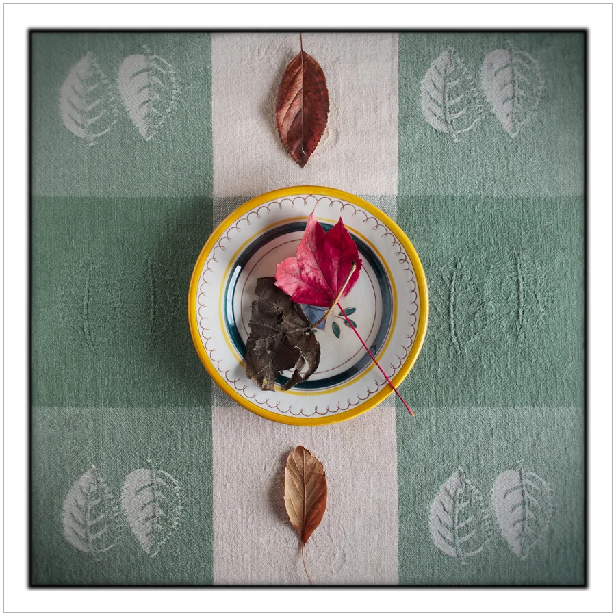 still life (click to embiggen)