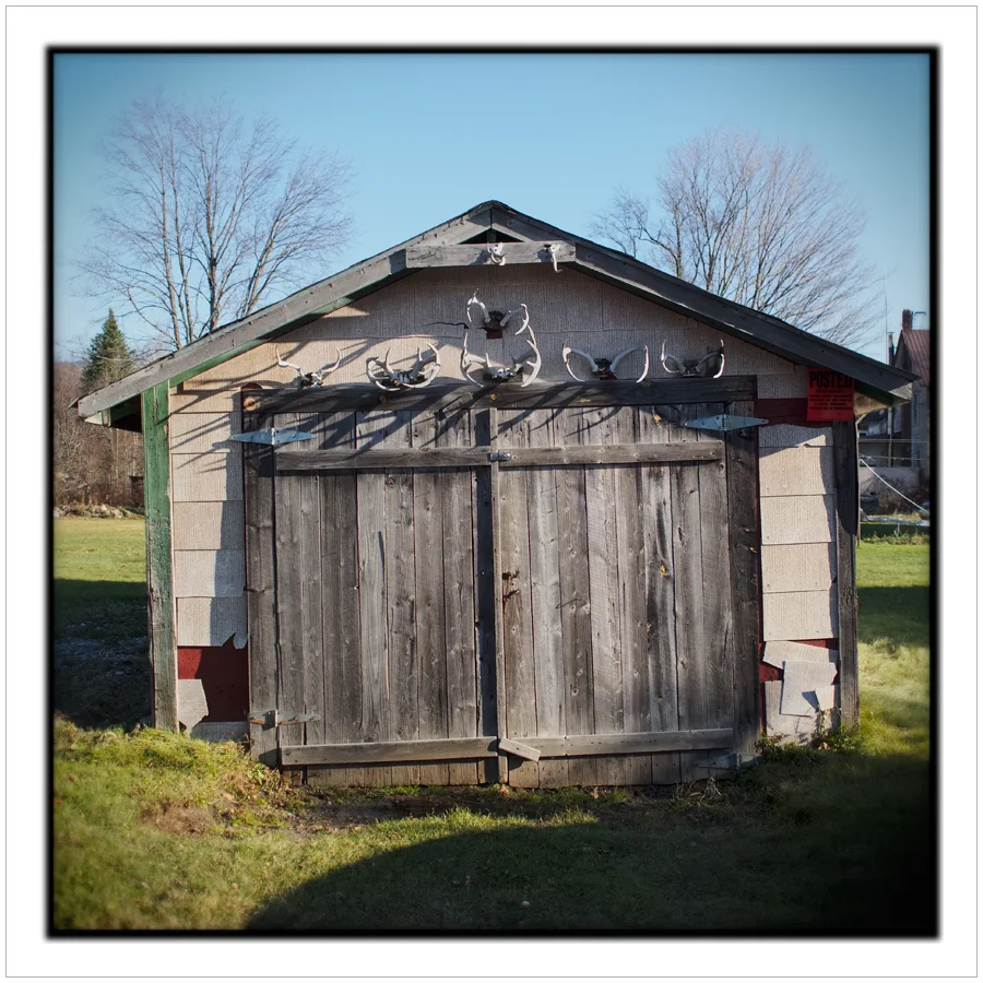 deer racks ~ Standish, NY - in the Adirondack PARK (click to embiggen)