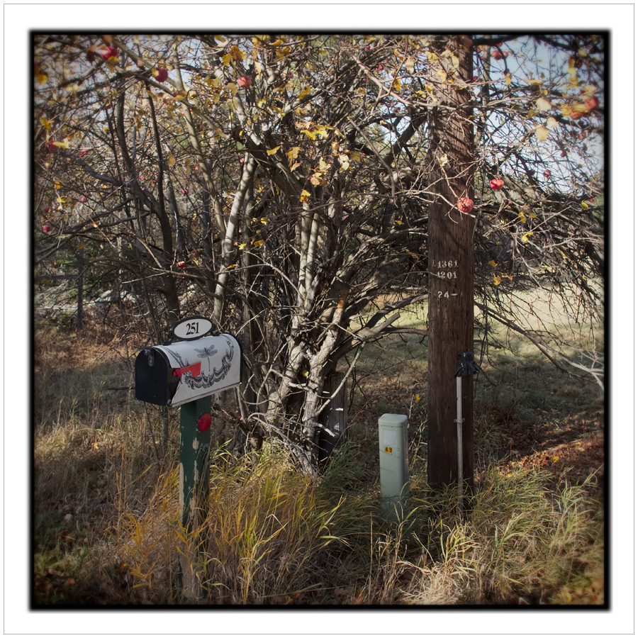 roadside things ~ Ore Bed Rd / Redford, NY - in the Adirondack PARK (click to embiggen)
