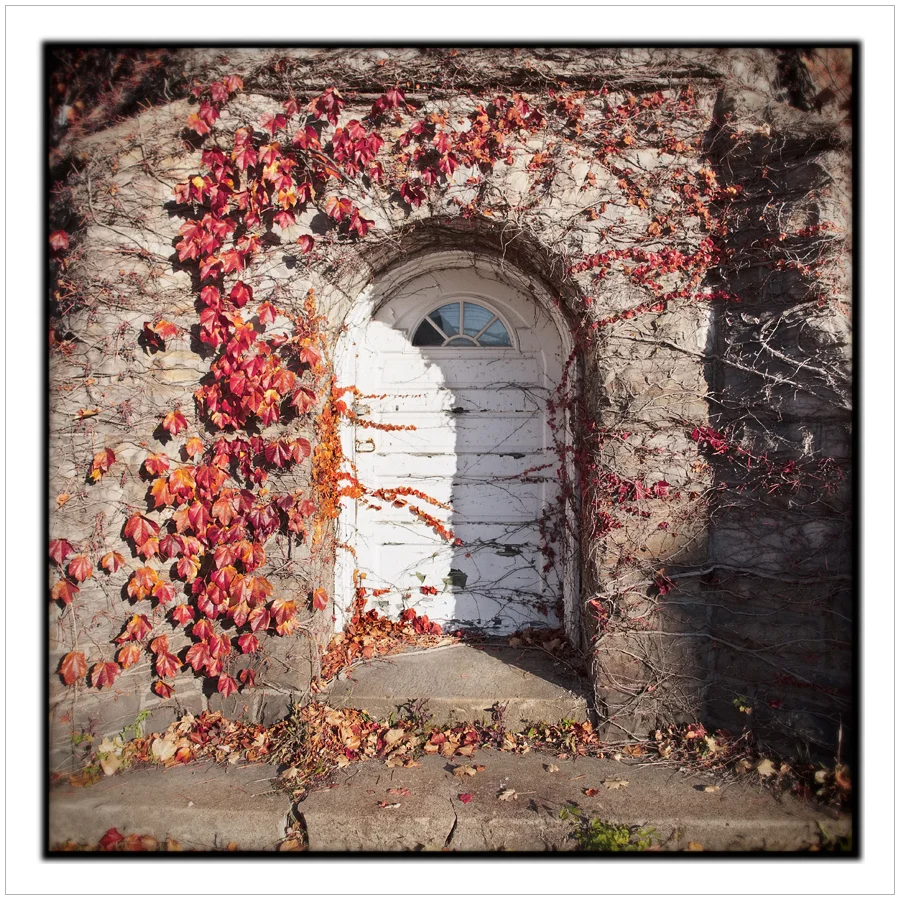 door ~ Alexandria Bat, NY • (click to embiggen)