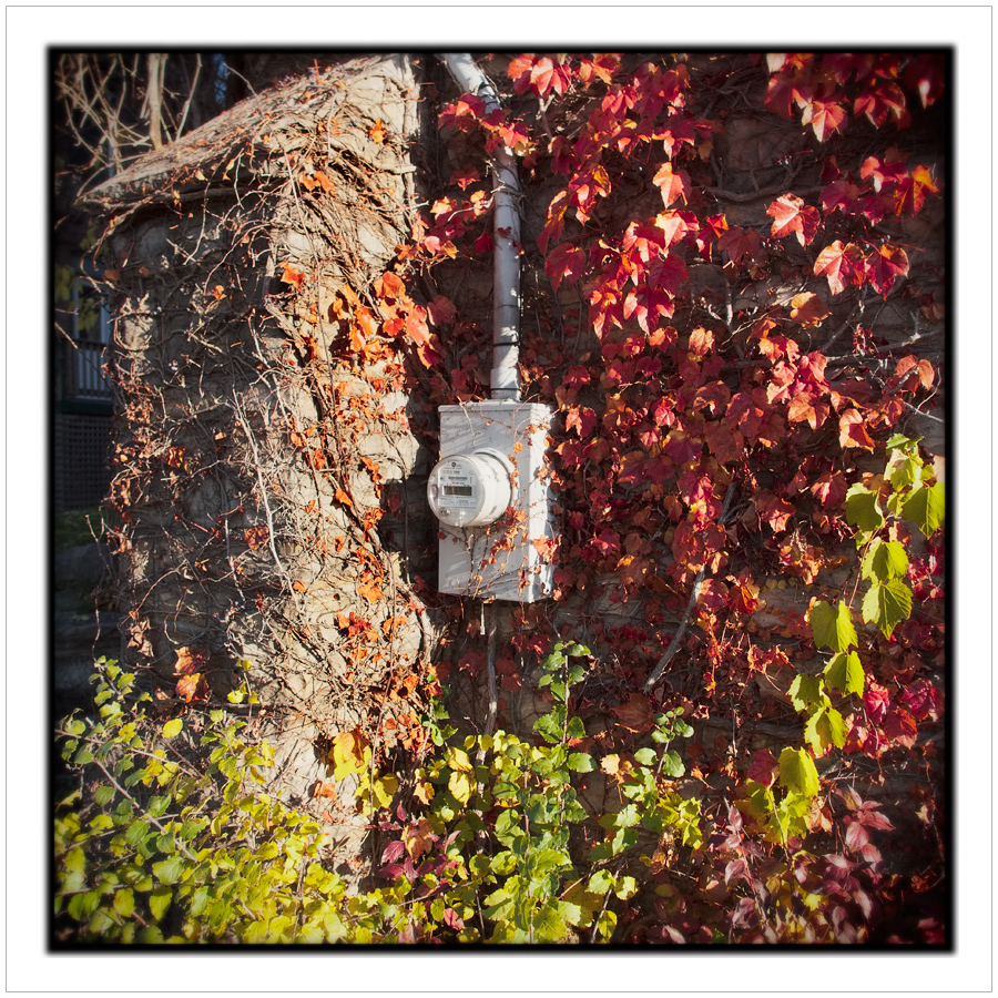 utility meter ~ Alexandria Bay, NY • (click to embiggen)