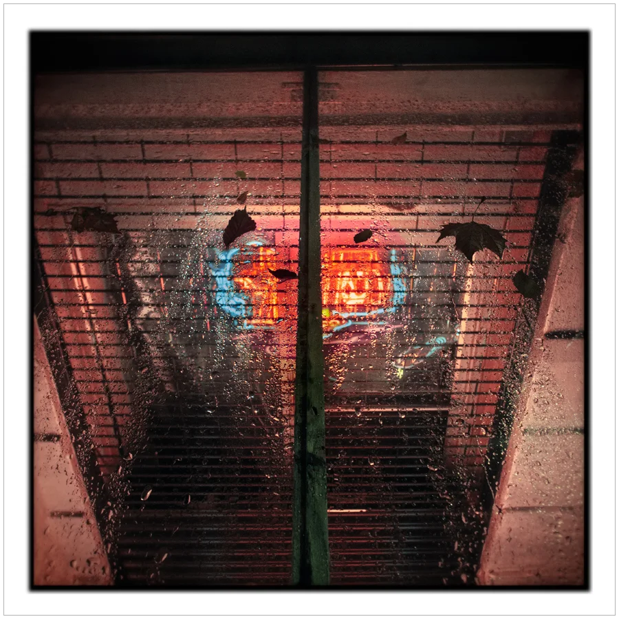 neon / window grate ~ Manhattan / NYC, NY (click to embiggen)