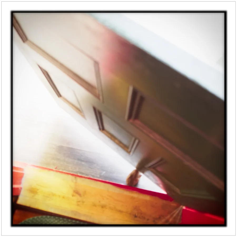 selective focus # 1