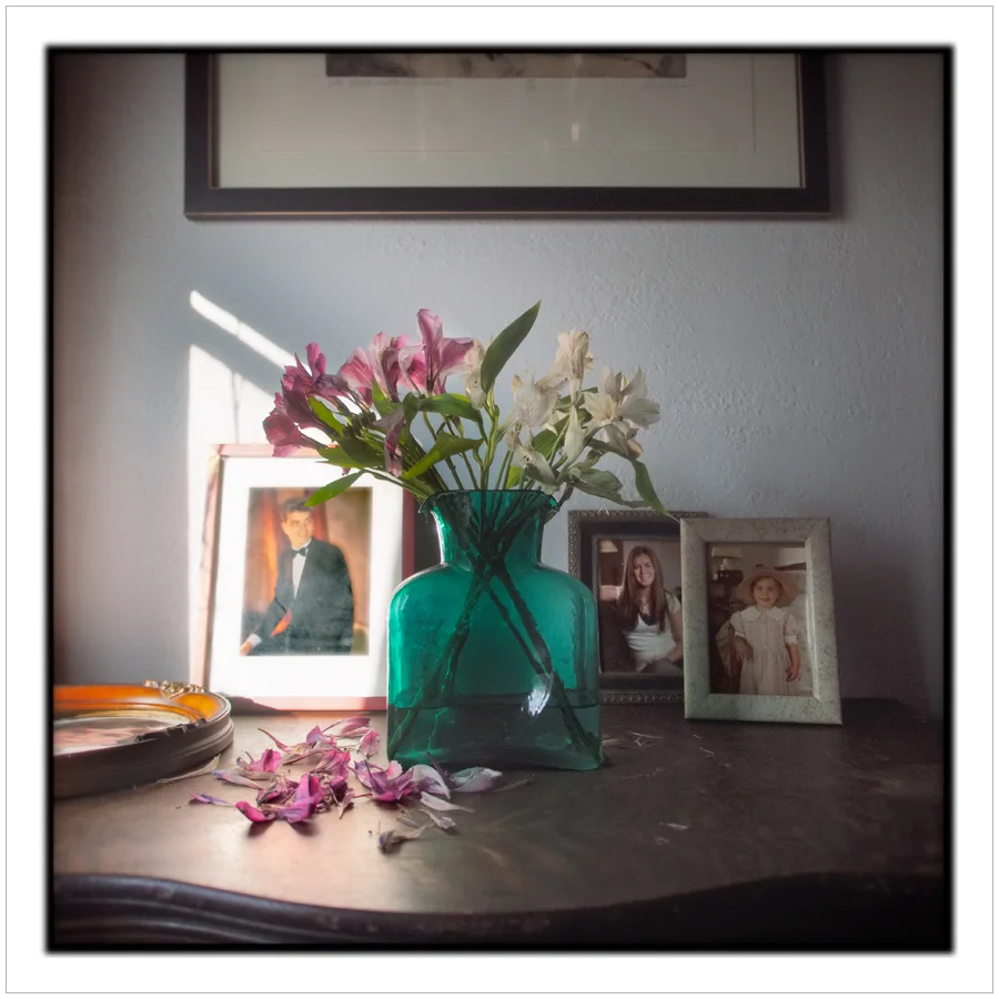flowers, vase, portraits ~ Au Sable Forks, NY - in the Adirondack PARK (click to embiggen)