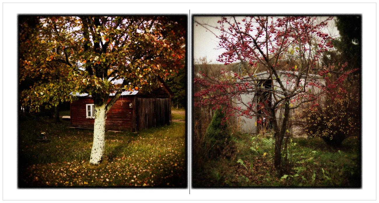 autumn / cherries ~ instagram filter