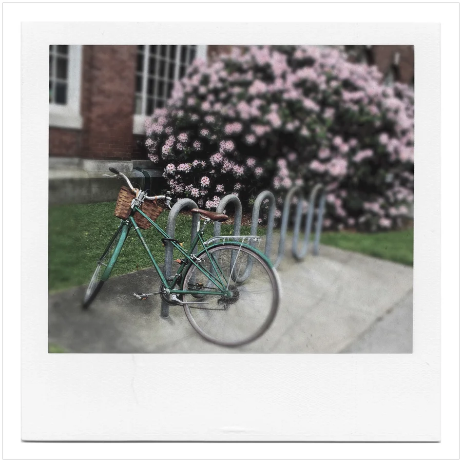 bike with lilacs ~ Brown University / Providence, RI (embiggenable)