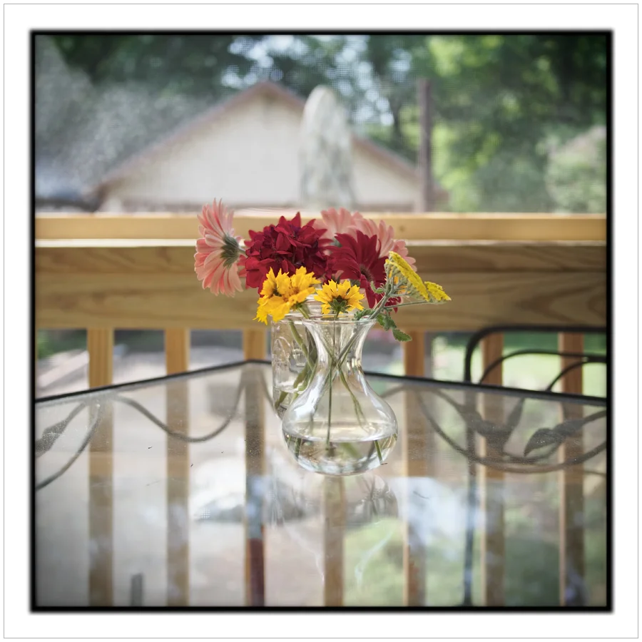 picture made with 1 of my µ4/3 cameras, processed as perm y norm