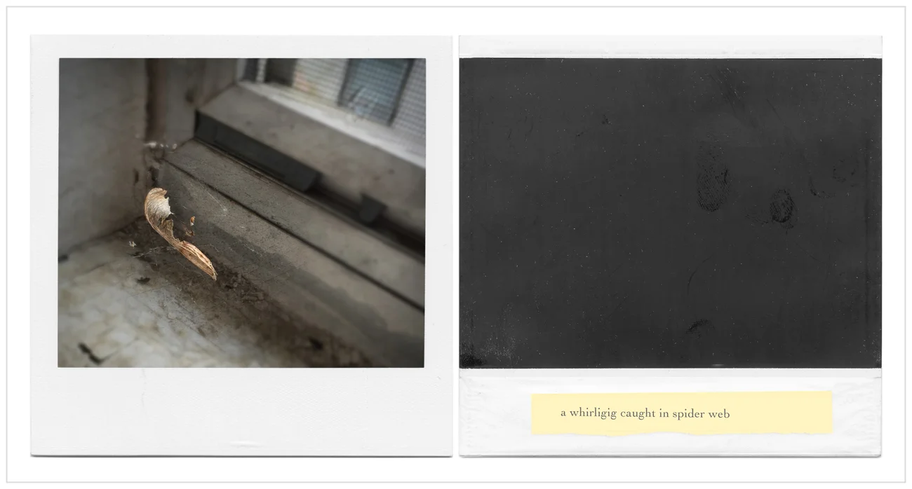 verso/recto • whirligig ~ ~ Au Sable Forks, NY - in the Adirondack PARK (embiggenable)