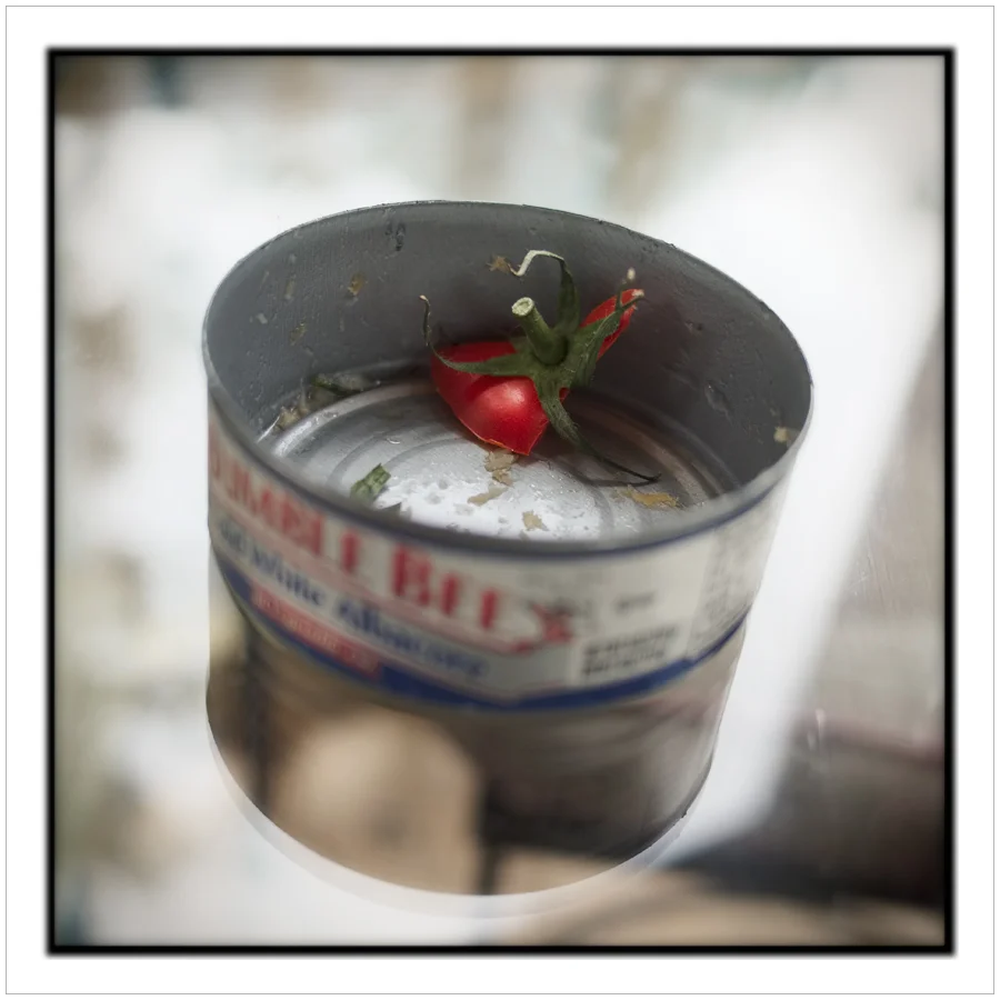 tuna can + tomato top ~ Au Sable Forks, NY in the Adirondack PARK (embiggenable)